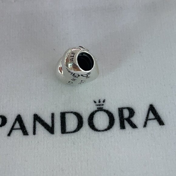 Pandora I Love My Pet Paw Print Heart Charm - Picture 2 of 4